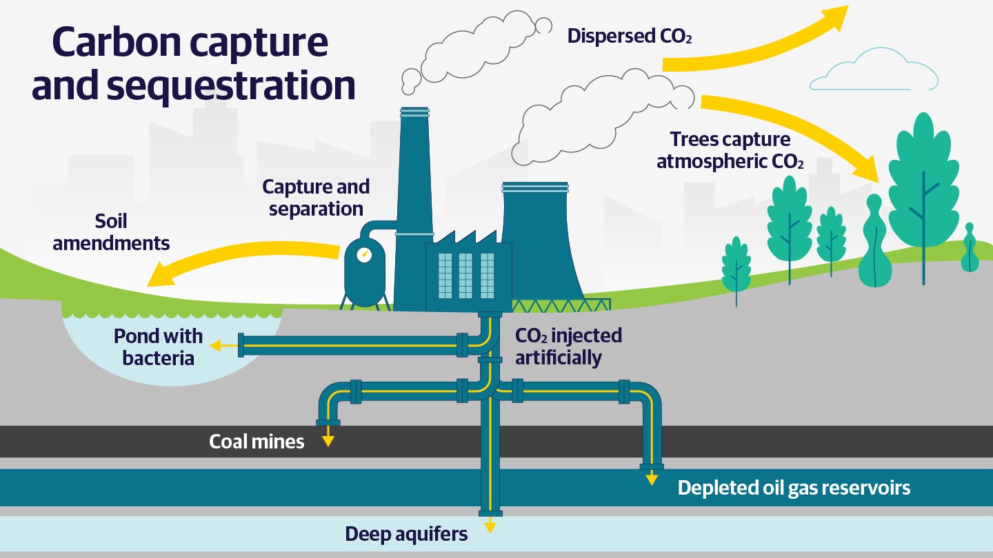 Carbon sequestration: options for a low-carbon future