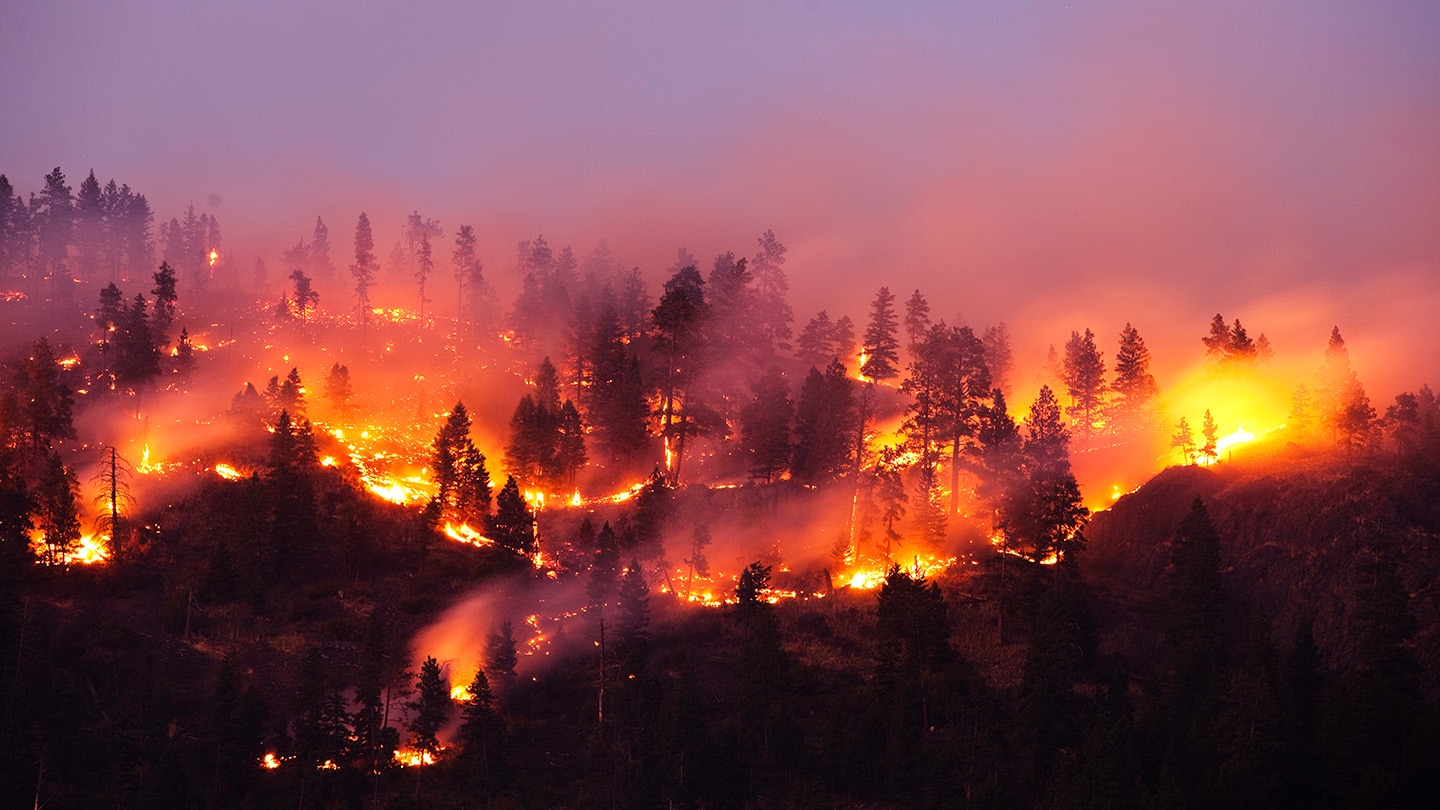 Key strategies to reduce wildfire risk