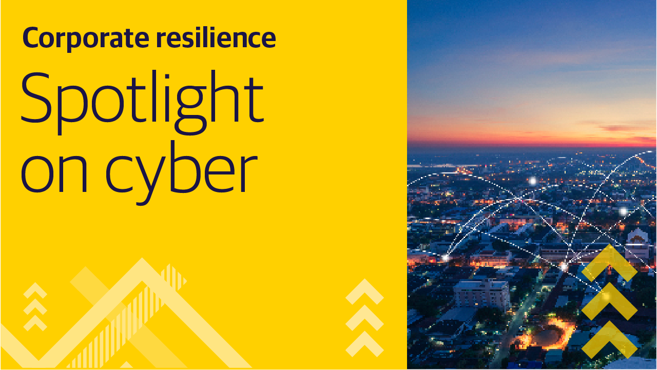 Corporate resilience: spotlight on cyber