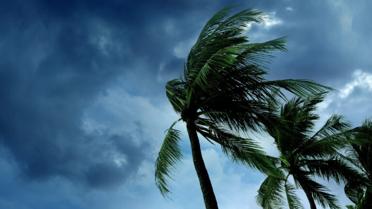 2025 climate forecast: 4 key takeaways & action plan guides