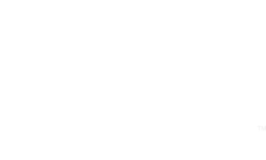 Ironshore Logo